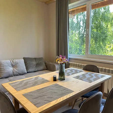 Vista Krasiya Apartment *