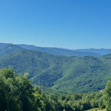 Vista Krasiya *