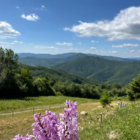 Vista Krasiya