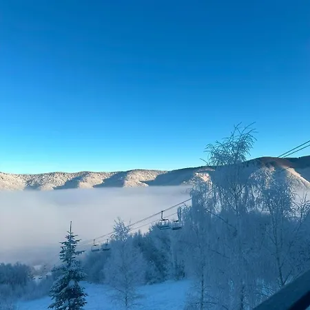 Vista Krasiya Vyshka